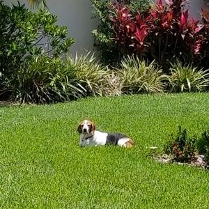 Meet your Posher, Tammy